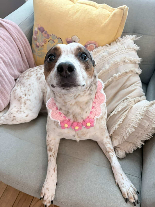 Grandma’s Handmade Crochet Bandanas