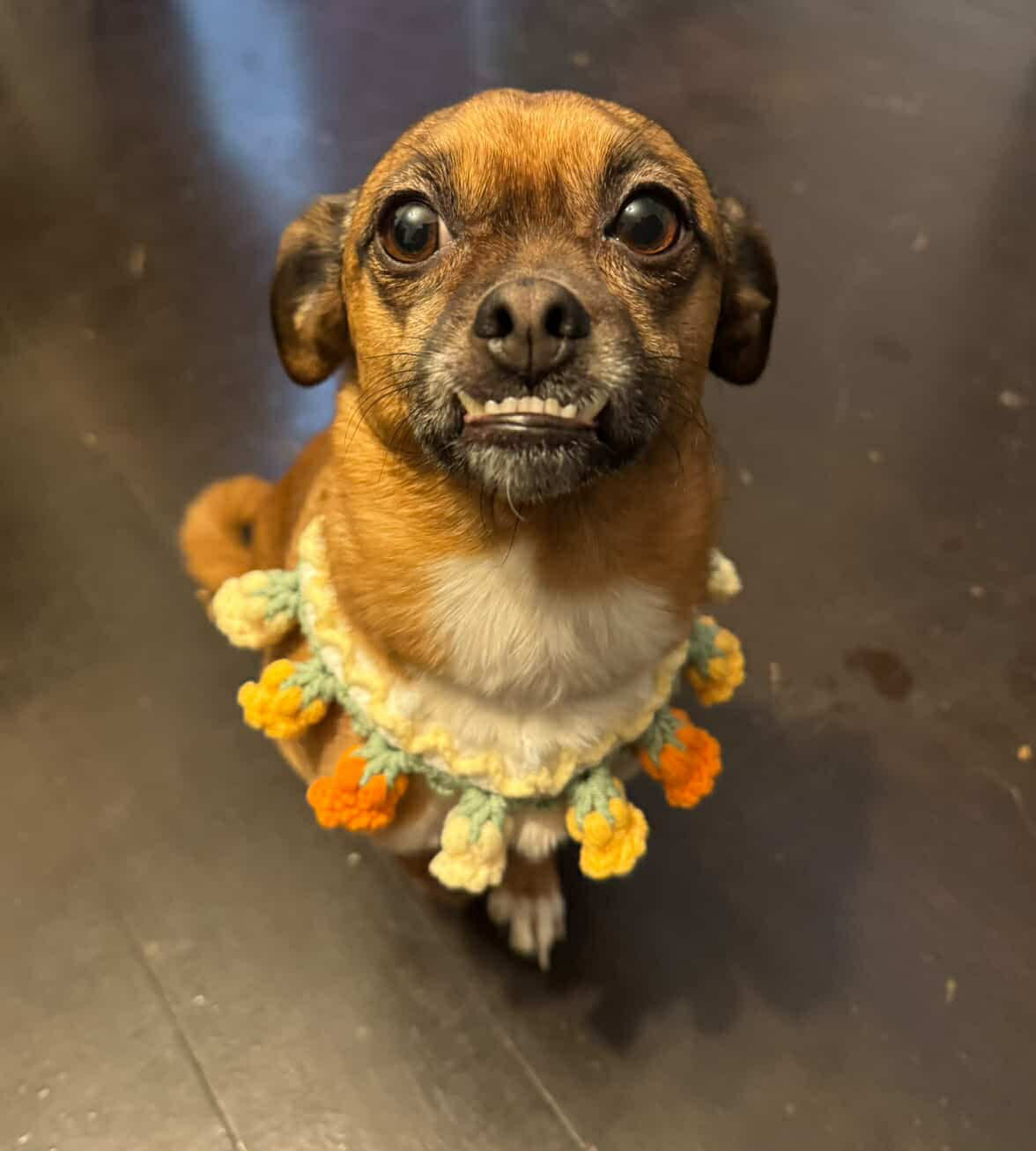 Grandma’s Handmade Crochet Bandanas