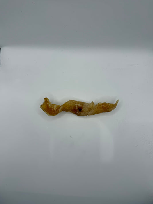 Titan Tendon - Single