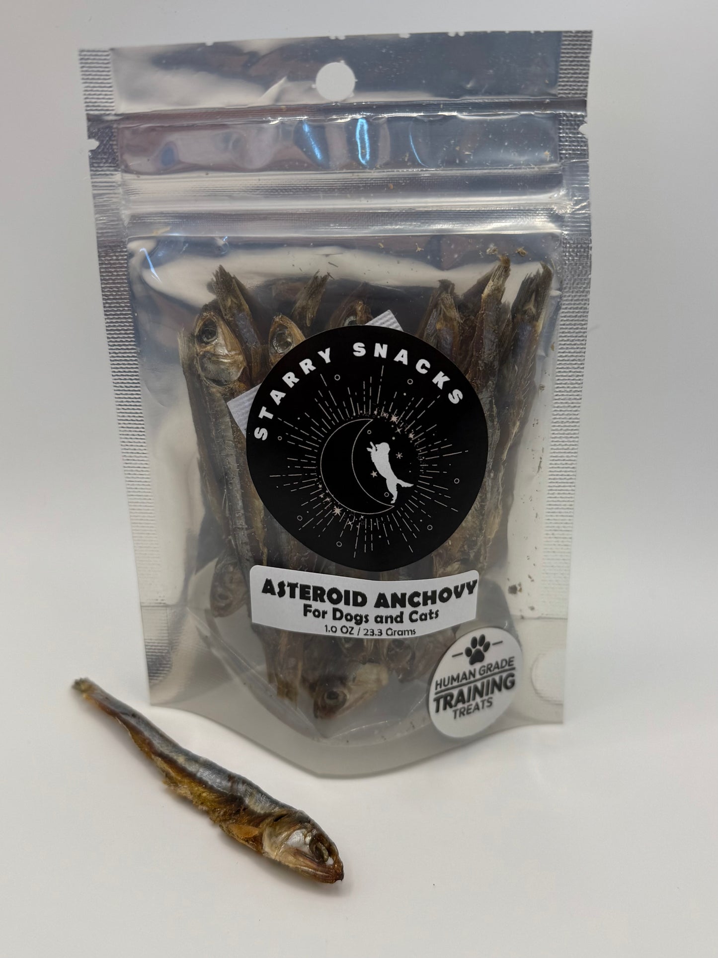 Asteroid Anchovies