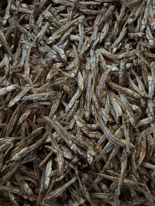 Asteroid Anchovy