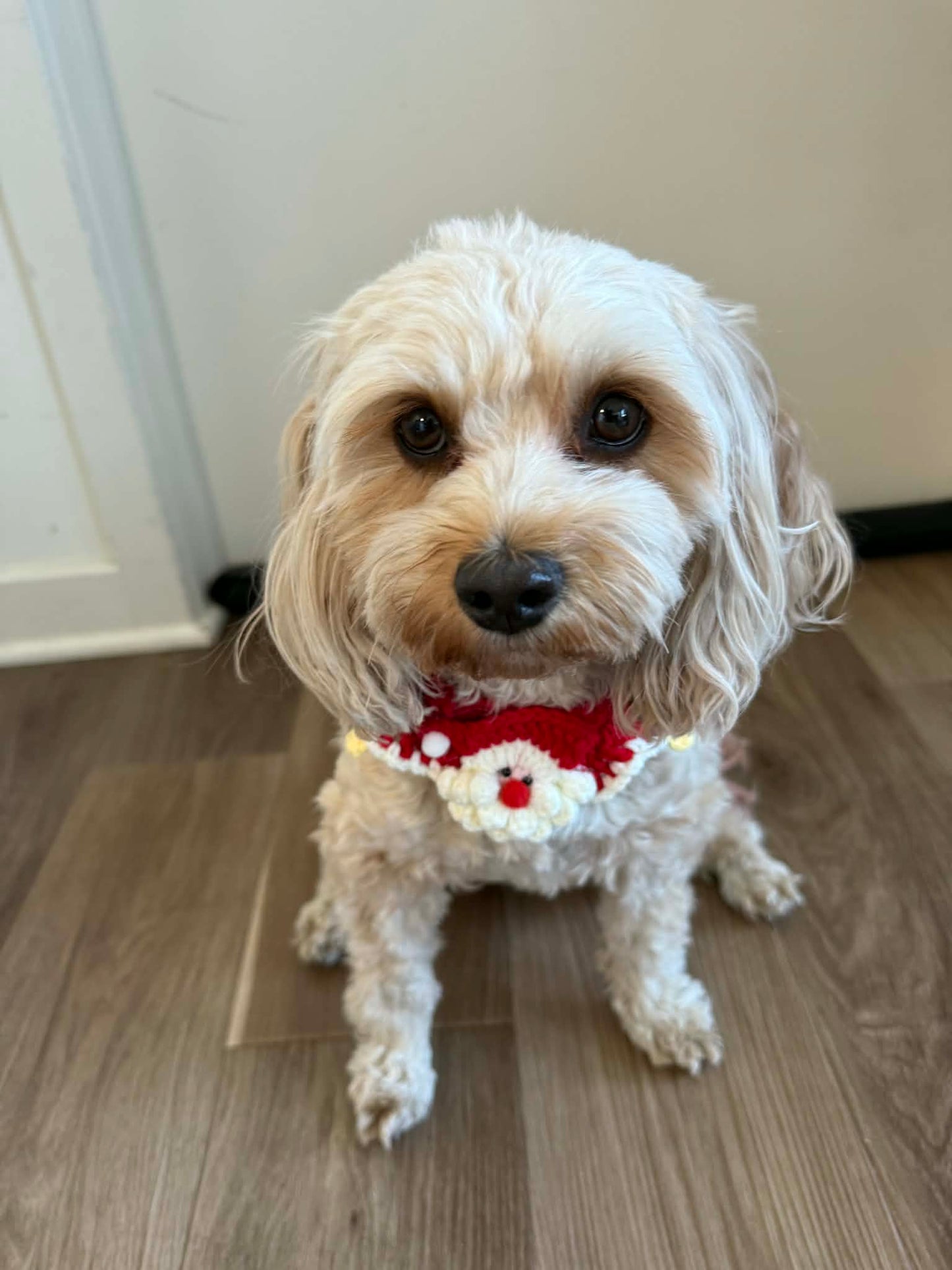 Grandma’s Handmade Crochet Bandanas