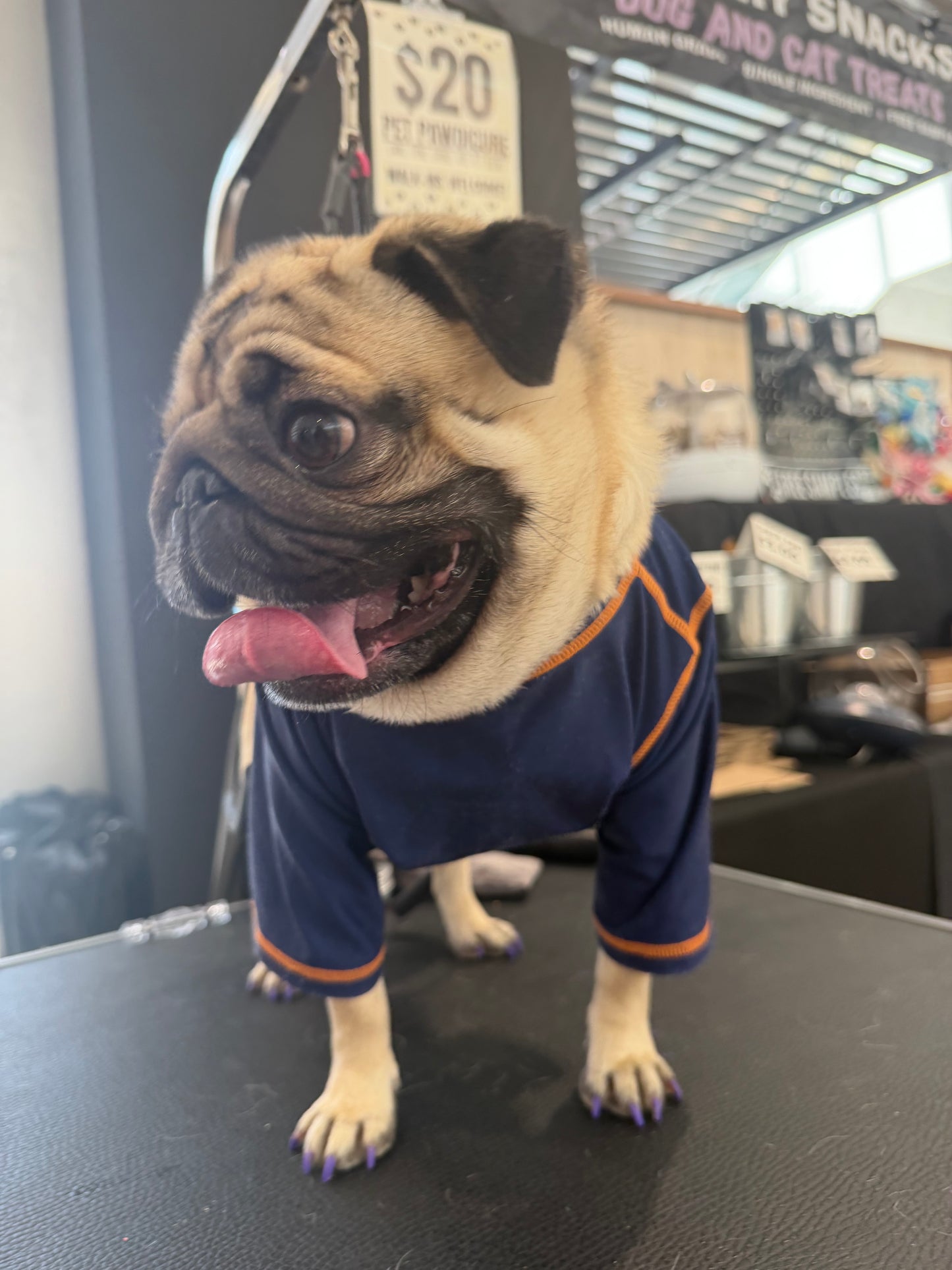 Pawdicure