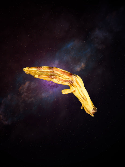 Quackstronaut Claw - Single