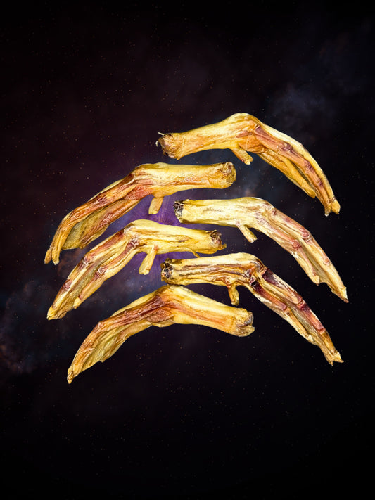 Quackstronaut Claw - 6 Pack