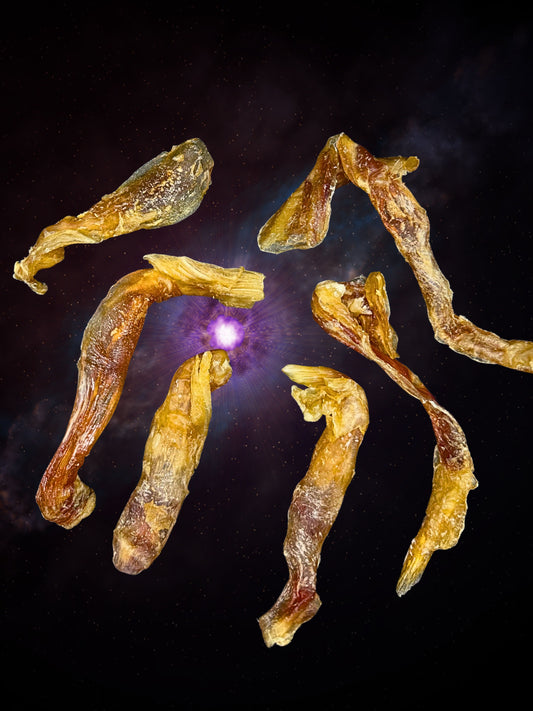 Titan Tendon - 6 PACK